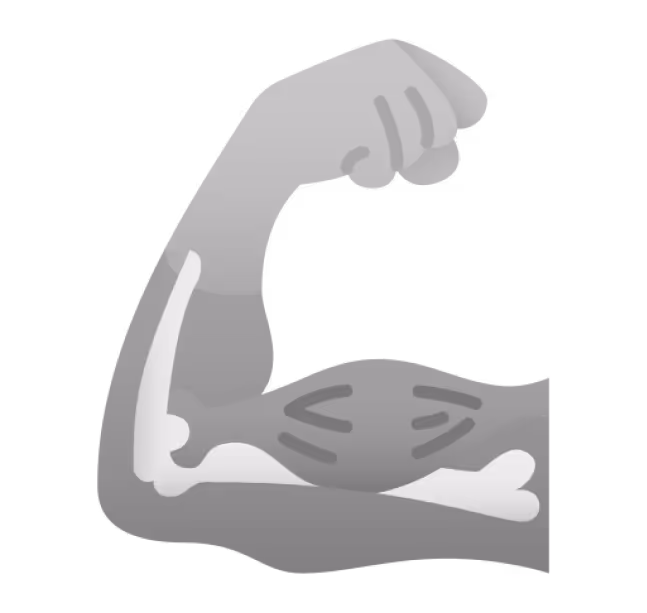 Illustration of a flexed arm showing muscle and bone structure.