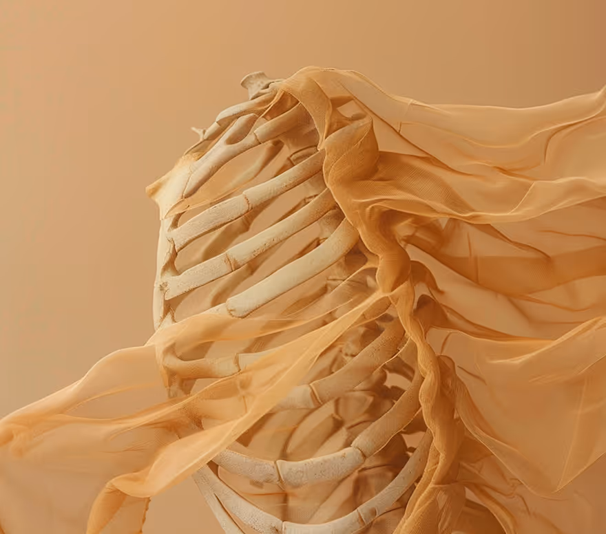 Abstract sculpture resembling a rib cage
