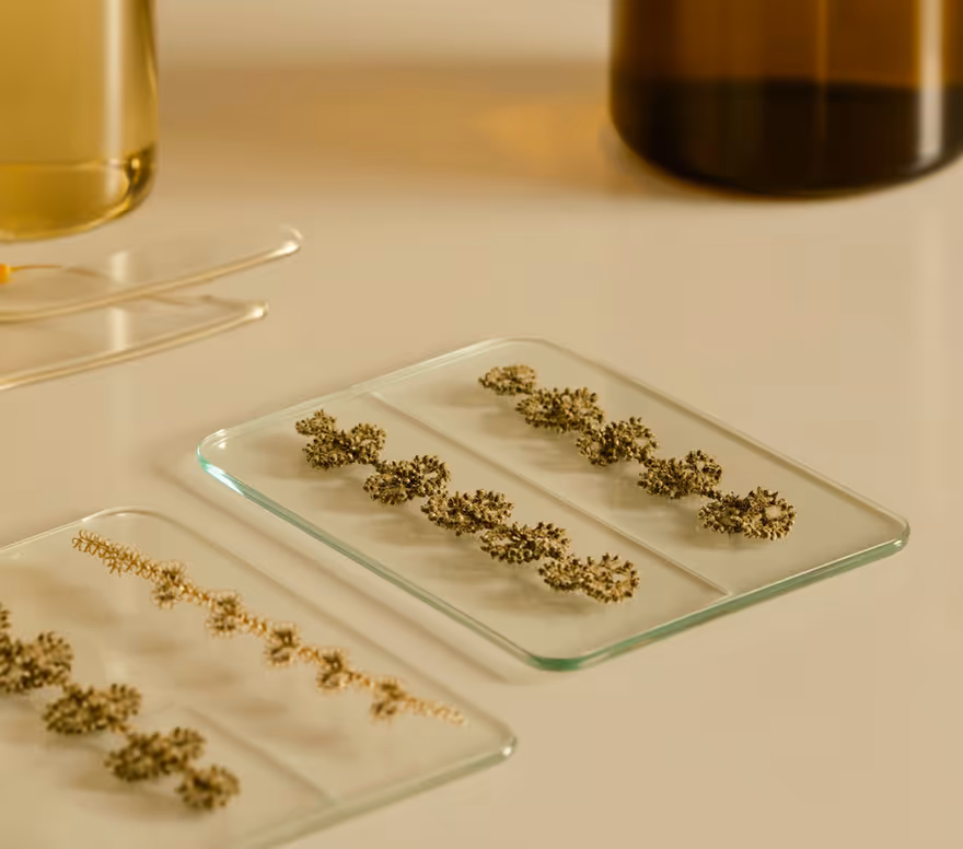 Small samples arranged on glass slides